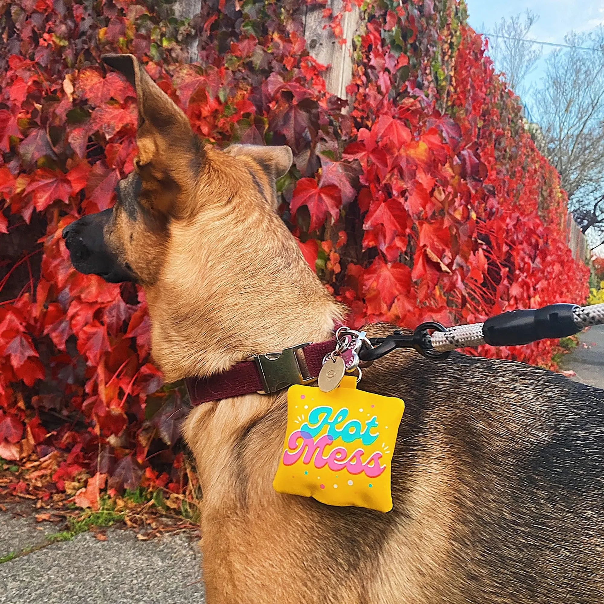 POOP BAG HOLDER: HOT MESS