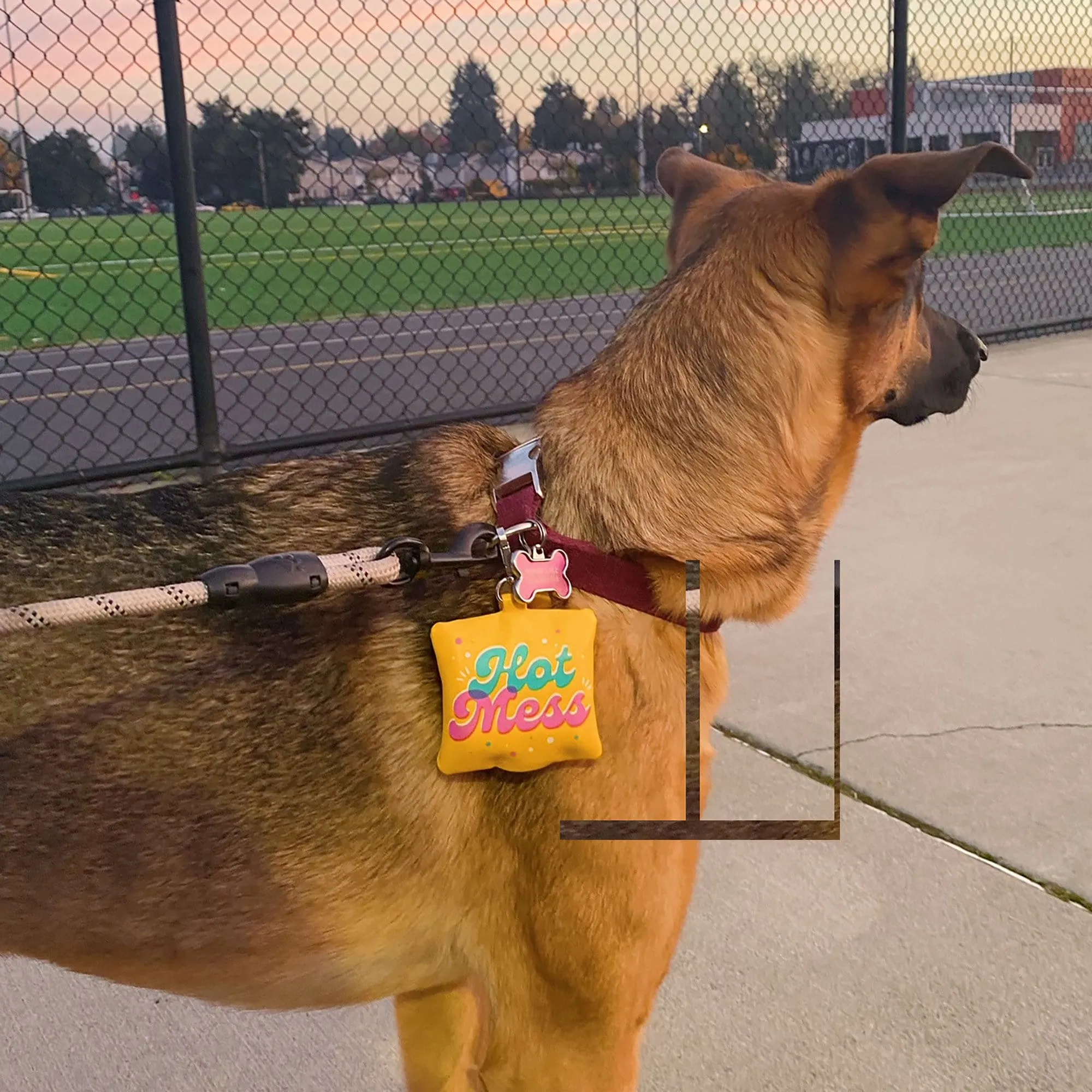 POOP BAG HOLDER: HOT MESS